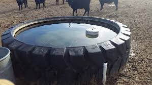 Provision must be made for water for the cows awaiting their a slightly more elaborate feed trough separates the cattle by vertical rails or tomb stone barriers, as shown in figure 10.19, to reduce competition during eating. Midwest Tire