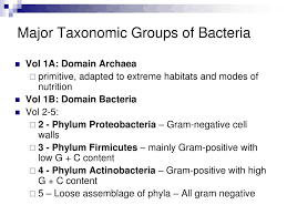 Ppt Bacterial Classification Anatomy Nutrition Growth Metabolism And Genetics Powerpoint Presentation Id 4213829