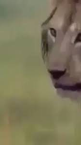 New The 10 Best Home Decor With Pictures احدث كتالوجات ورق الجدران رايكم يهمنا 2019 لمسه الأخيرة للد Decor Interior Design Interior Decorating Design