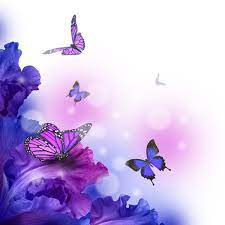 We did not find results for: Background Butterfly Hd Picture 03 Free Download