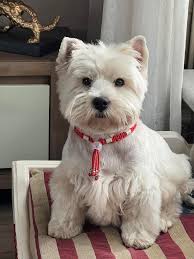 Feeling profound sadness and loneliness