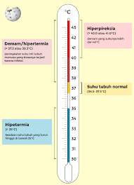 Suhu tubuh akan menyesuaikan dengan kondisi sekitar, misalnya udara dingin akan menurunkan suhu tubuh normal. Wikipedia Bahasa Indonesia Pa Twitter Tahukahanda Bahwa Suhu Tubuh Normal Dari Manusia Adalah Sekitar 36 5 37 5 Derajat Celcius Istilah Untuk Suhu Tubuh Di Bawah Normal Disebut Hipotermia Sementara Untuk Suhu Tubuh Di Atas