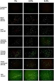 Frontiers Evaluation Of Natural And Botanical Medicines For Activity Against Growing And Non Growing Forms Of B Burgdorferi Medicine