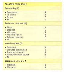 Glasgow coma scale at 40 | the new approach to glasgow coma scale assessment. Gcs Score Glascow Coma Scale And Blantyre Score Assessment And Interpretation Jotscroll