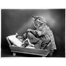 Good Night Mama Cats Vintage Cat Animals