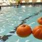 Pumpkin Plunge event image
