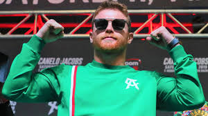 Canelo alvarez made short work of anvi yildirim in miami. Saul Canelo Alvarez Vs Avni Yildirim Purse Bid Delayed By Wbc Boxing News Sky Sports