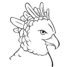 Harpy eagle coloring pages to color, print and download for free along with bunch of favorite harpy eagle coloring page for kids. 20 Cute Eagle Coloring Pages For Your Little Ones Eagle Drawing Harpy Eagle Coloring Pages