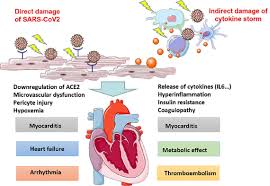 Federica cavallo* and francesco chiarelli. Cardiac Involvement Of Covid 19 A Comprehensive Review The American Journal Of The Medical Sciences