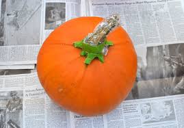 They can be used in magic in many ways. Painting Pumpkins With Kids Artbar
