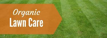 Organic Lawn Care Milorganite