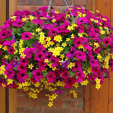 Hanging baskets are an essential part of any garden because they can be moved to any spot in need of color. Top Super Hanging Flower Basket Ideas Julia Palosini
