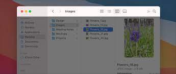 The blinking folder icon indicates that the computer can't find a valid startup disk. What S New In Macos 11 Macos Human Interface Guidelines Apple Developer