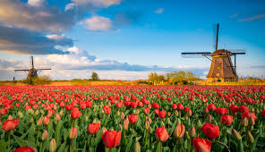 Buche dein hotel nahe st. Tulpenzeit Wo Ist Die Tulpenblute In Holland Am Schonsten