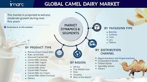 Get camel milk at best price with product specifications. Camel Dairy Market Size Growth Trends Analysis 2021 2026 Imarc Group