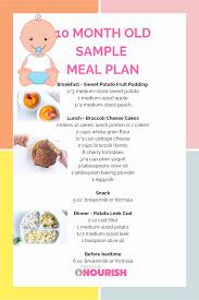 10 Month Old Meal Plan Nutritionist Approved Creative Nourish Baby Food Recipes 10 Month Old Baby Food Baby Meal Plan