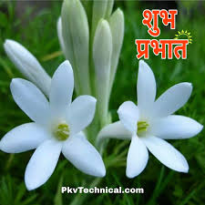 Maybe you would like to learn more about one of these? 100 Good Morning Status Quotes In Hindi à¤¹ à¤¦ à¤® 100 à¤— à¤¡ à¤® à¤° à¤¨ à¤— à¤¸ à¤Ÿ à¤Ÿà¤¸ Pkvtechnical