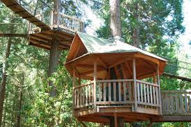 Maybe you would like to learn more about one of these? Treehouse Bed And Breakfasts