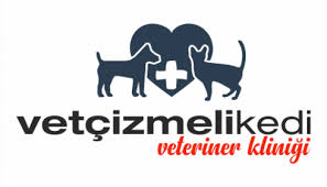 Misyonumuz Vet Cizmeli Kedi