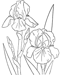 Incredible entranching images of flowers to co #21464 #418184. Free Printable Flower Coloring Pages For Kids Best Coloring Pages For Kids