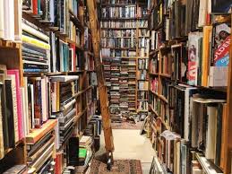 The Lit Witch Bookstore Bookshop Book Aesthetic