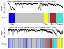 Colon cancer is the most common type of gastrointestinal cancer. Colon Cancer Recurrence Associated Genes Revealed By Wgcna Co Expression Network Analysis