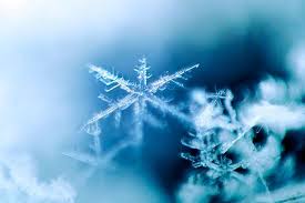 Incredible Examples Of Snowflake Photography Snowflake Photography Snowflake Pictures Snowflake Images
