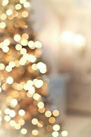 Winter Photography Holiday Fairy Lights In Trees Festive Winter Scene Fine Art Landscape Photograph Large Wall Art Christmas Tree Wallpaper Holiday Wallpaper Cute Christmas Wallpaper