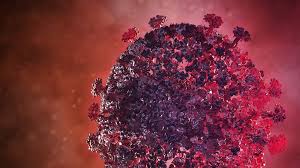 Deswegen wurde das neujahrskonzert am montag im festspielhaus in st. Corona News Im Fernunterricht Eine Nachrichtensendung Gestalten Oe1 Orf At