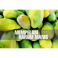 View Buah Harum Manis Perlis Images Perlismy