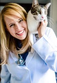 dvm360's new editorial advisory board to help guide content