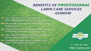 It has an online quote portal and provides estimates in 24 hours or less. 5 Benefits Of Professional Lawn Care Services Gomow Gomow Lawn Care Lawn Care Companies Lawn Service