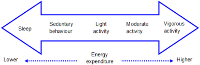 Physical Activity Wikipedia