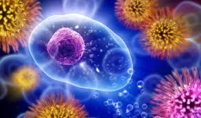 The autoimmune diseases not only have joint involvement but can affect many systems of the body. Ho Gia Una Malattia Autoimmune Potrebbero Svilupparsene Ulteriori Il Centro Tirreno Nutrizione