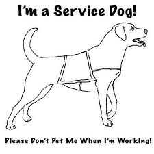 Disability Service Dog For Disability People Coloring Page Service Dogs Dog Coloring Page People Coloring Pages