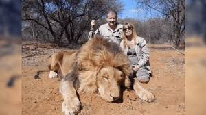 Ecco alcuni nomi maschili tipici del continente. Turisti Francesi Uccidono Molti Animali In Africa E Le Foto Sui Social Li Costringono A Lasciare Il Loro Lavoro La Stampa