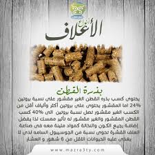 يحتوى كسب بذره القطن الغير مقشور على نسبة بروتين 24 اما المقشور يحتوى على بروتين أكثر وألياف أقل من الكسب الغير مقشور تصل نسبة بروتين الى 40 Food Bread Matzo