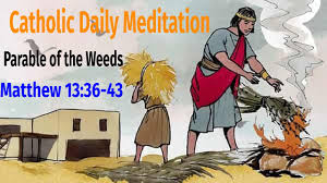 Catholic Daily Meditation Parable Of The Weeds Matthew 13 36 43 Youtube