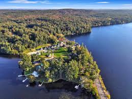 Image result for Lintonia