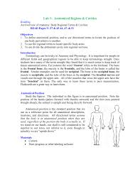 Choose from 500 different sets of flashcards about quadrants anatomical on quizlet. Lab 1 Anatomical Regions Cavities