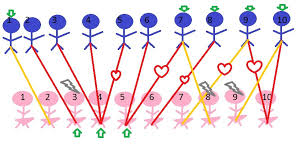 A Scientific Diagram About Male And Female Marriage Patterns