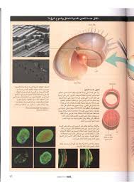مجلة العلوم 210 211 مؤسسة الكويت للتقدم العلمي free download borrow and streaming internet archive science and nature pdf books internet archive