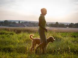 Dog walking presents, in my opinion, the best earning potential if you're looking to make money from walking. How To Walk With Your Dog