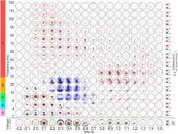 It provides a description of the status and trends of environmental factors (e.g., air pollutant. Global And Local Dynamics Of High Gamma Activity Underlying Error Processing In The Human Brain Revealed By Noninvasive And Intracranial Eeg Biorxiv