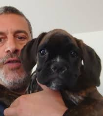 David BEAU, 42 ans (MAULEVRIER, MAULEON, CHOLET)