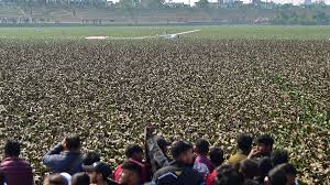 seater microlite aircraft meets ...