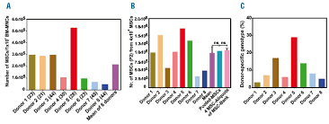 Bone marrow transplant (bmt) is a special therapy for patients with certain cancers or other diseases. Mesenchymal Stromal Cells From Pooled Mononuclear Cells Of Multiple Bone Marrow Donors As Rescue Therapy In Pediatric Severe Steroid Refractory Graft Versus Host Disease A Multicenter Survey Haematologica