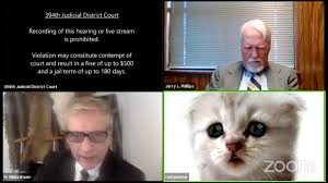 Check out which memes are the most relatable to you. Lawyer S Zoom Cat Filter Makes For A Hilarious Meme Thrillist