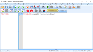 Spss Syntax Richtig Nutzen Novustat Statistik Beratung