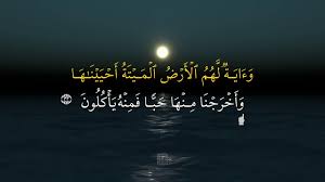 Ayat untuk meruqiah diri sendiri dengar setiap hari agar terhindar dari gangguan jin dan setan. Surat Yasin Ayat 82 Untuk Orang Zalim